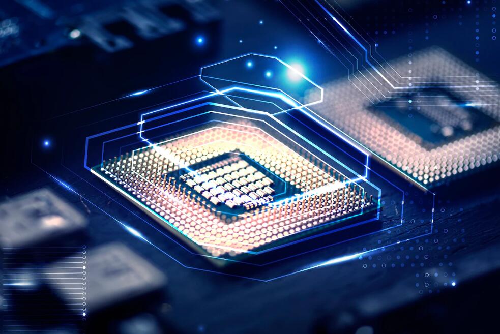 富贵竹发黄怎么办 富贵竹叶子黄了怎么办